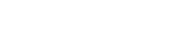 ALNZ Logo